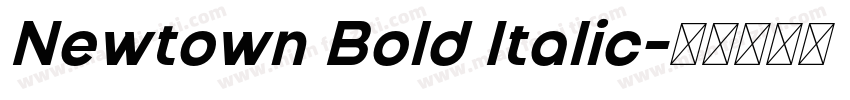 Newtown Bold Italic字体转换